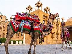 Rajasthan